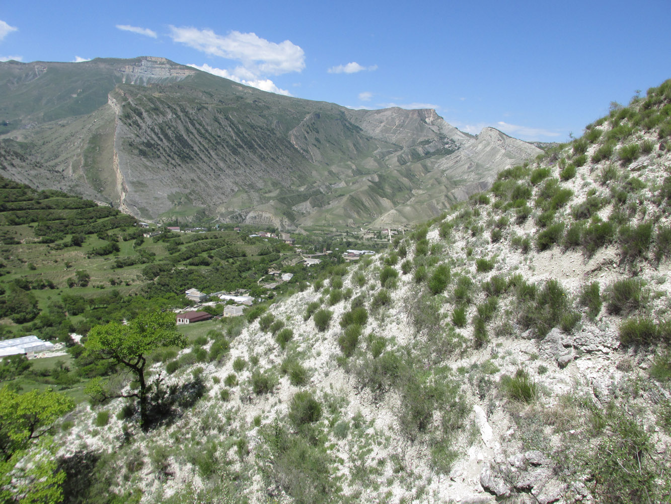 Цудахар, image of landscape/habitat.