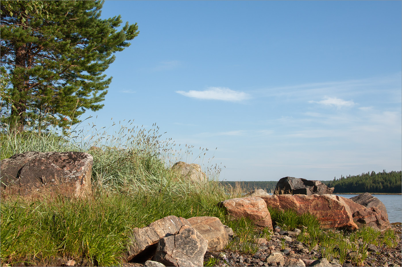 Чкаловский, image of landscape/habitat.