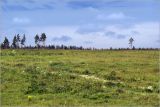 Image of landscape