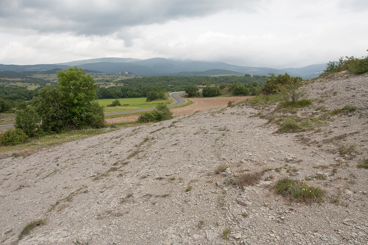 Окрестности Гопехи, image of landscape/habitat.