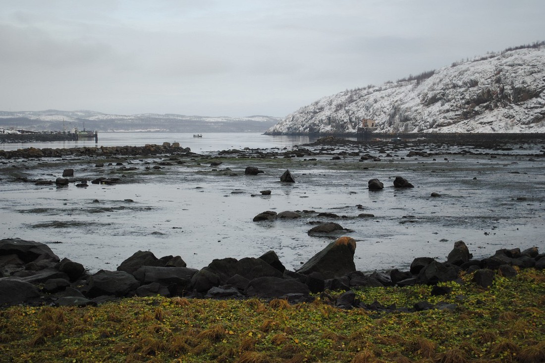 Окрестности посёлка Росляково, image of landscape/habitat.