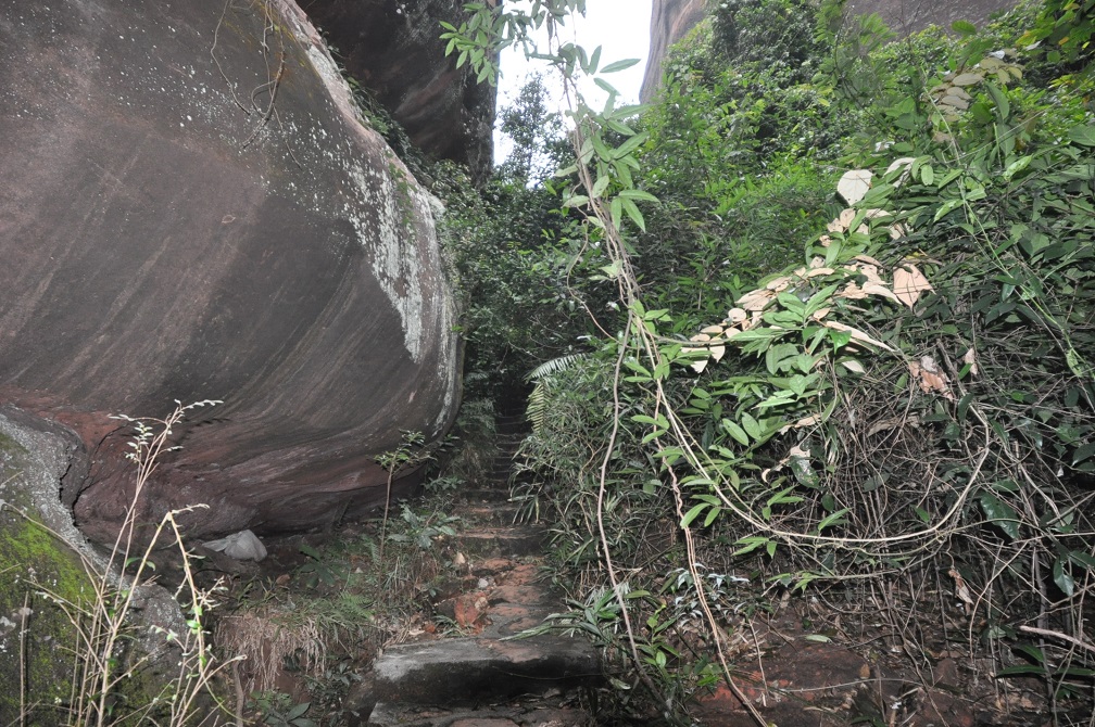 Геопарк "Дансия (Шаогуань)", image of landscape/habitat.