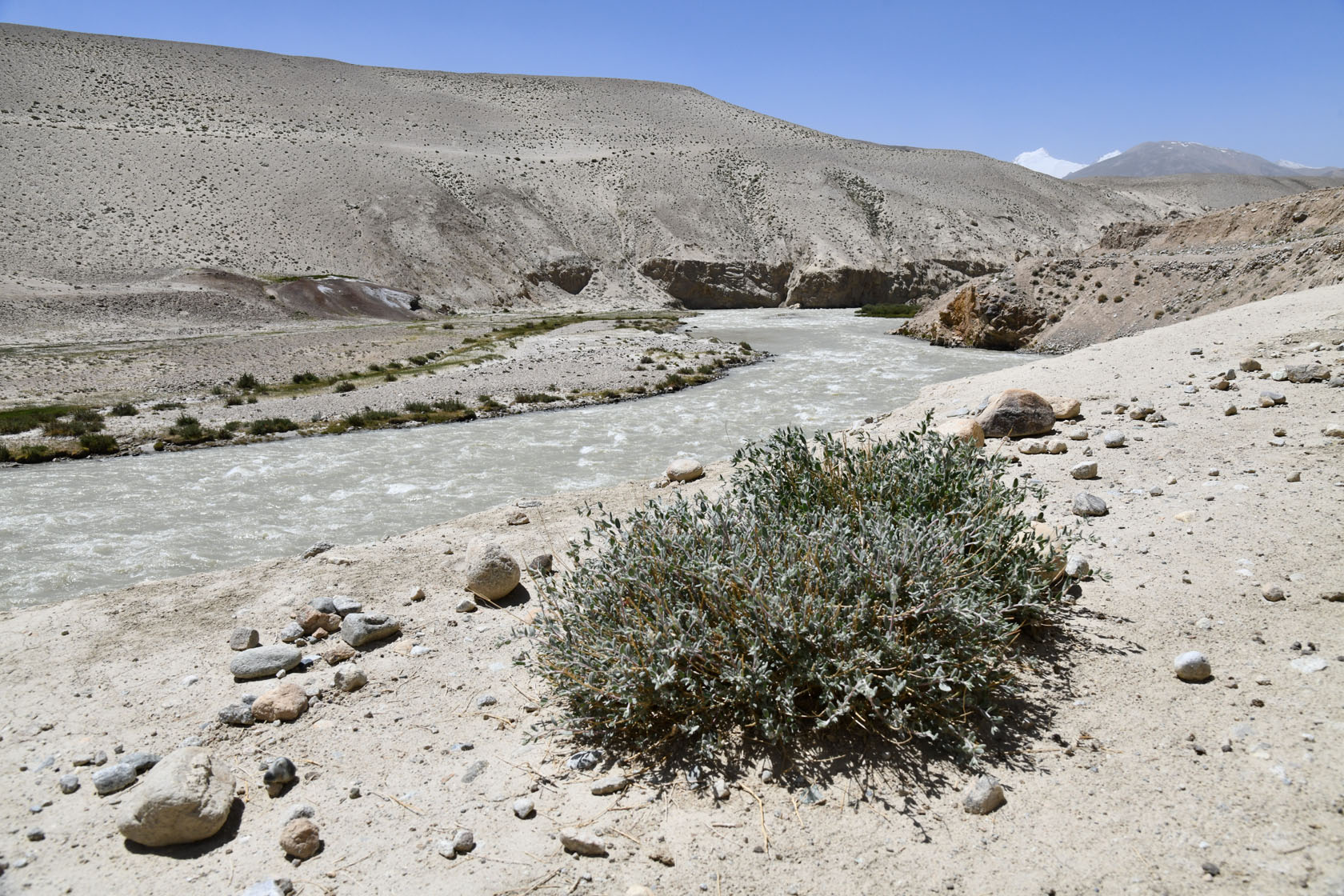 Памир, image of landscape/habitat.