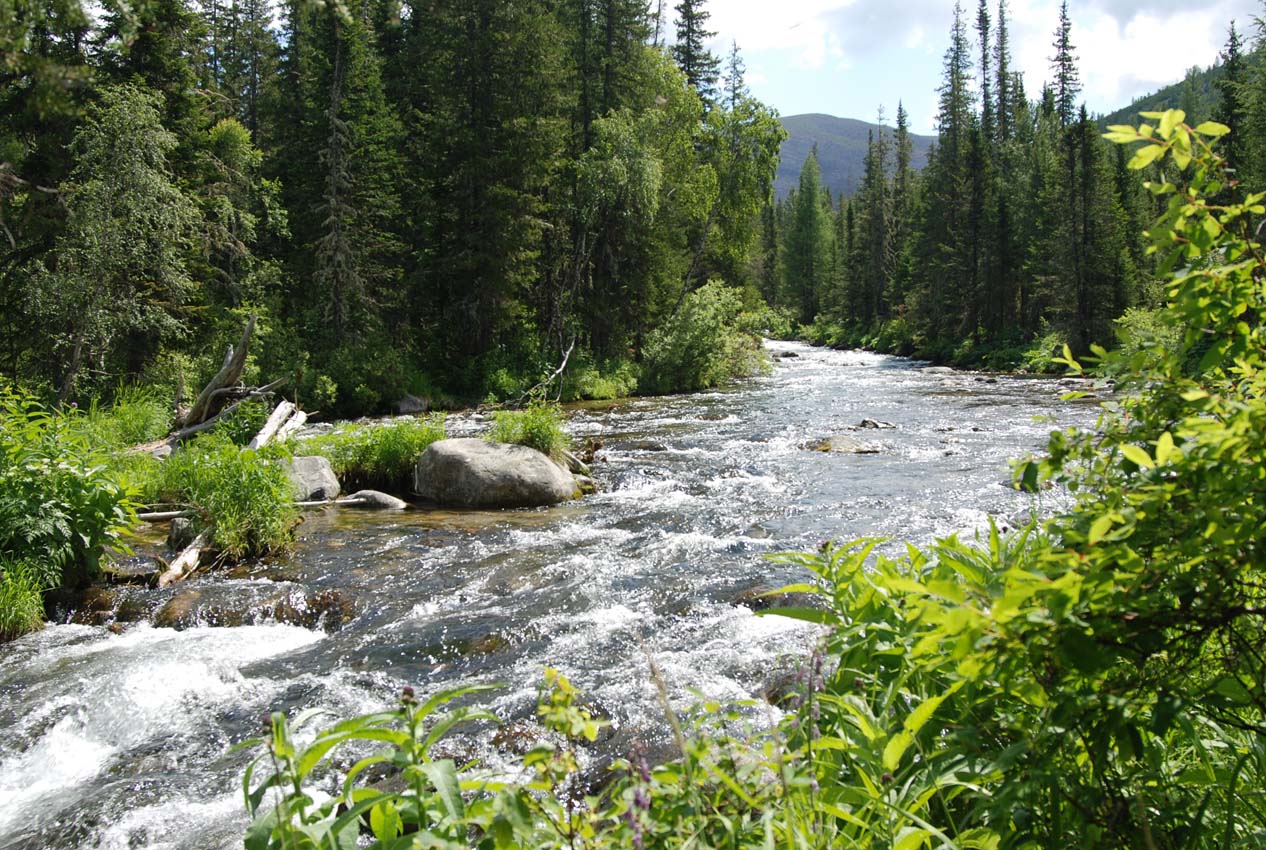 Долина реки Большой Чивыркуй, image of landscape/habitat.