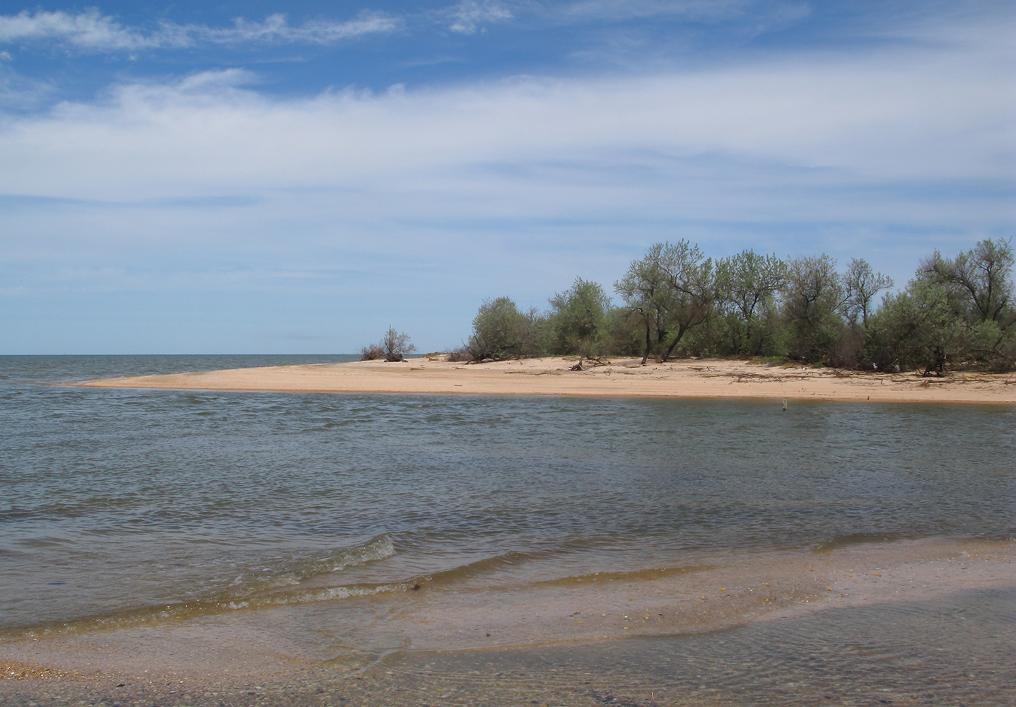 Куликовское гирло, image of landscape/habitat.