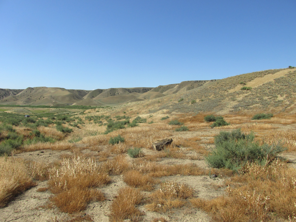 Долина реки Камышчай, image of landscape/habitat.