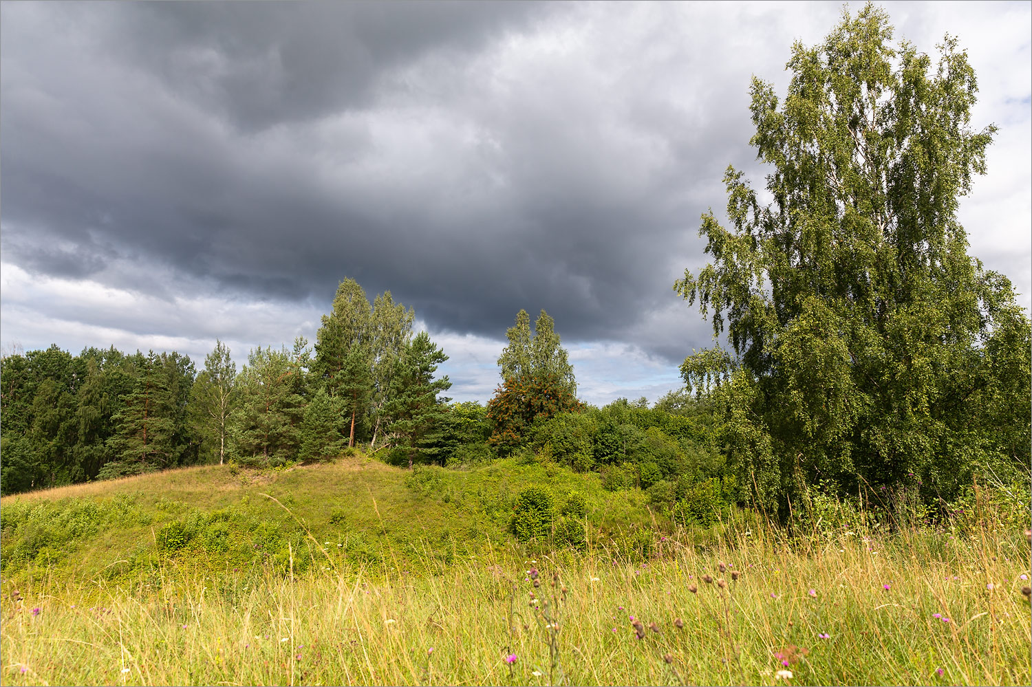 Изборско-Мальская долина, image of landscape/habitat.