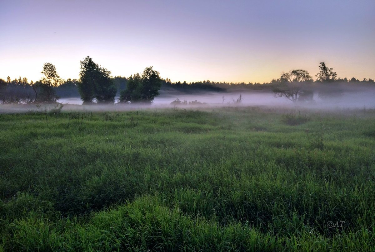 Клец, image of landscape/habitat.