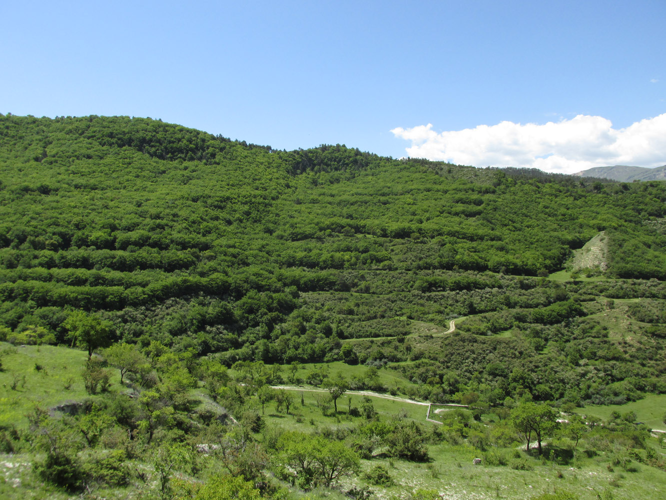 Цудахар, image of landscape/habitat.