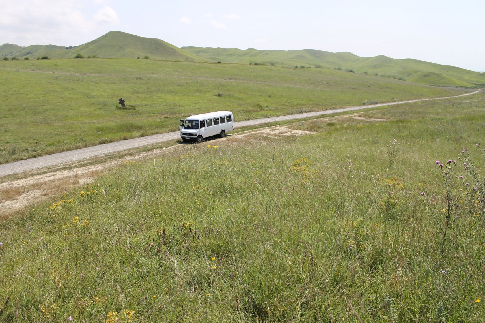 Заманкул, image of landscape/habitat.