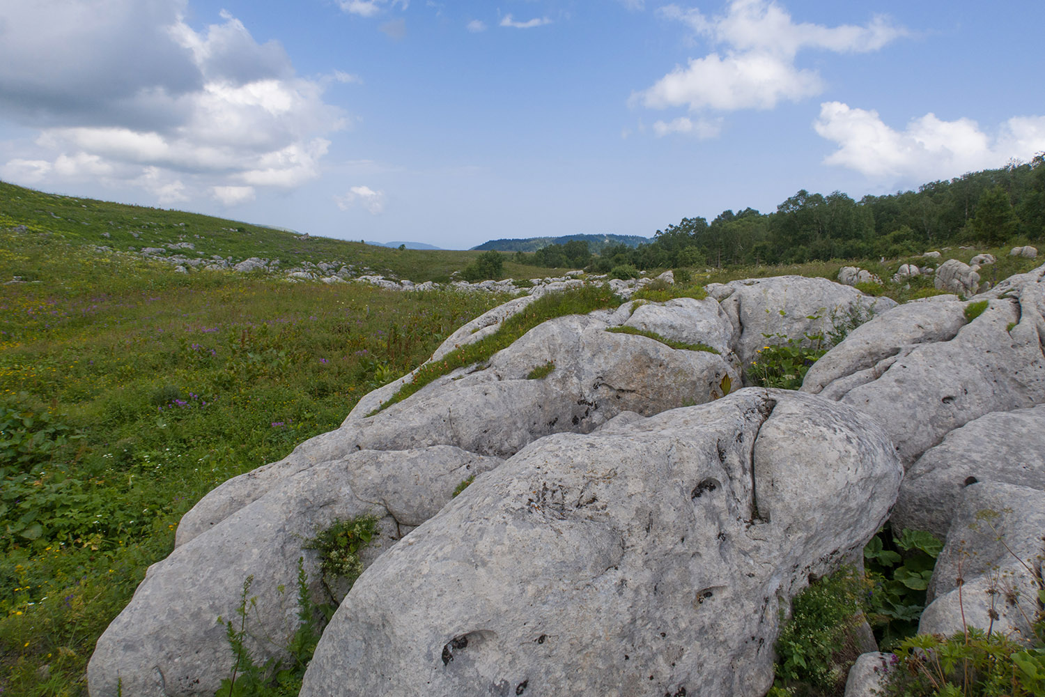 Каменное Море, image of landscape/habitat.