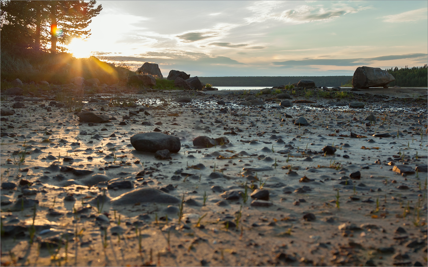 Чкаловский, image of landscape/habitat.