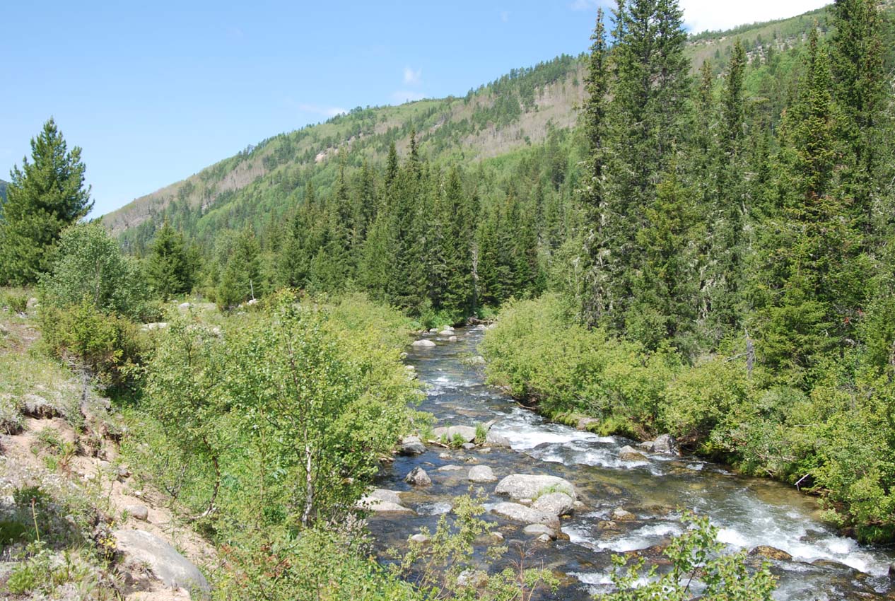 Долина реки Большой Чивыркуй, image of landscape/habitat.