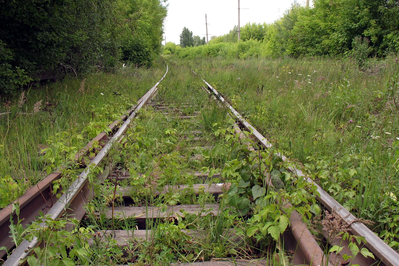 Серпухов-Ветка, image of landscape/habitat.