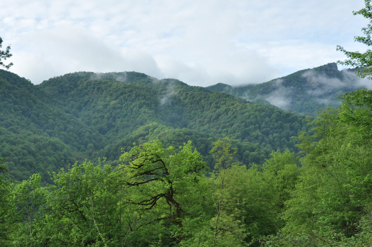 Окрестности села Колатак, image of landscape/habitat.