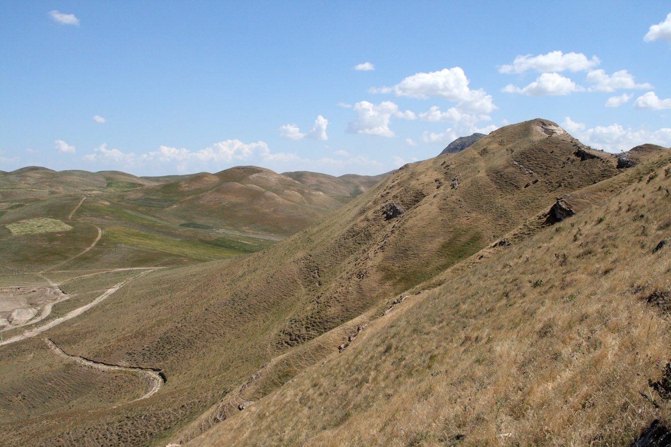 Окрестности зимовки Кошкудук, image of landscape/habitat.