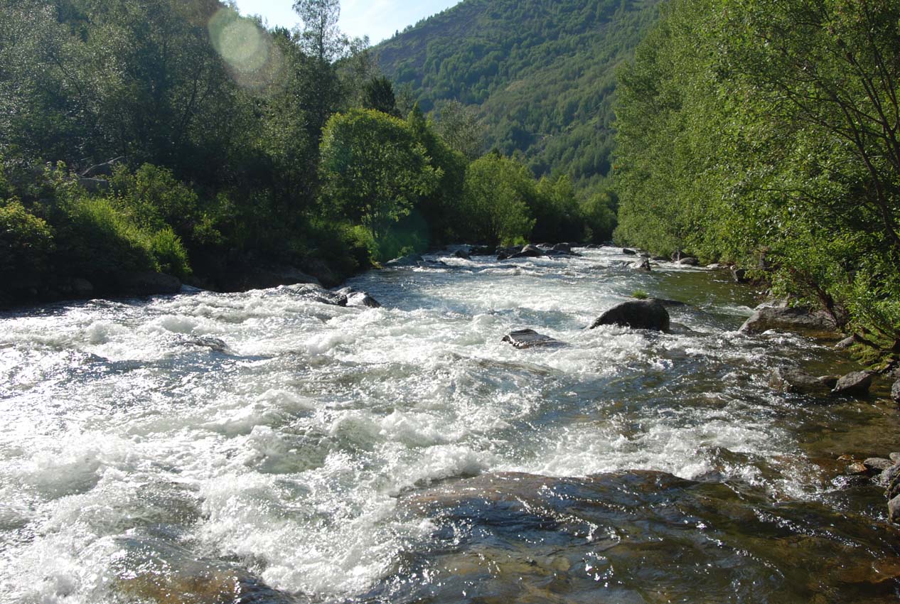 Долина реки Большой Чивыркуй, image of landscape/habitat.