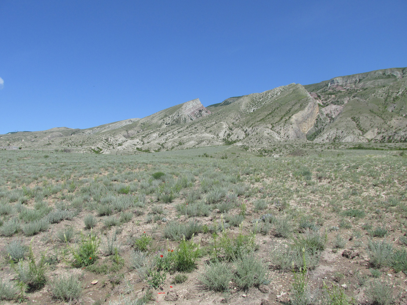 Долина Чиркейского водохранилища, image of landscape/habitat.