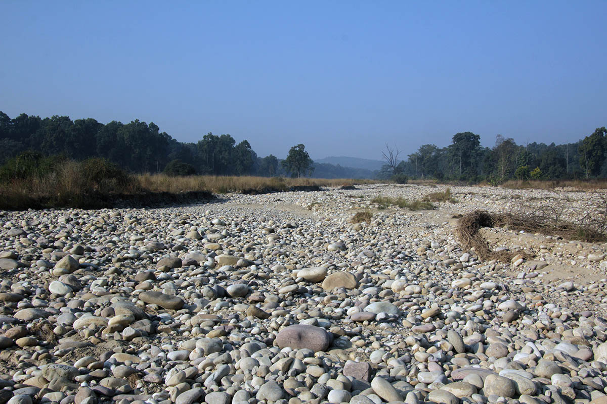 Национальный парк "Раджеджи", image of landscape/habitat.