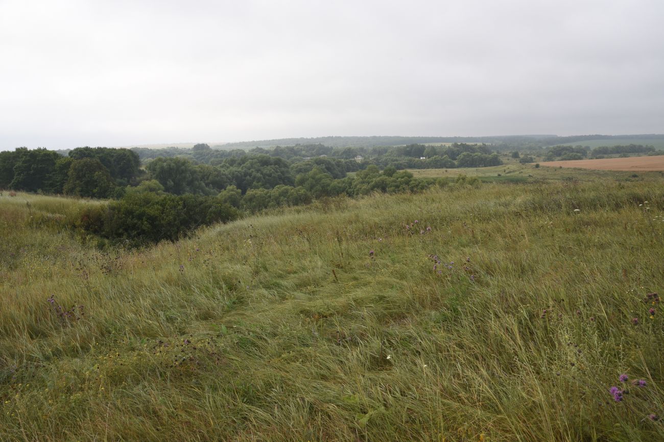 Устье реки Паника, image of landscape/habitat.