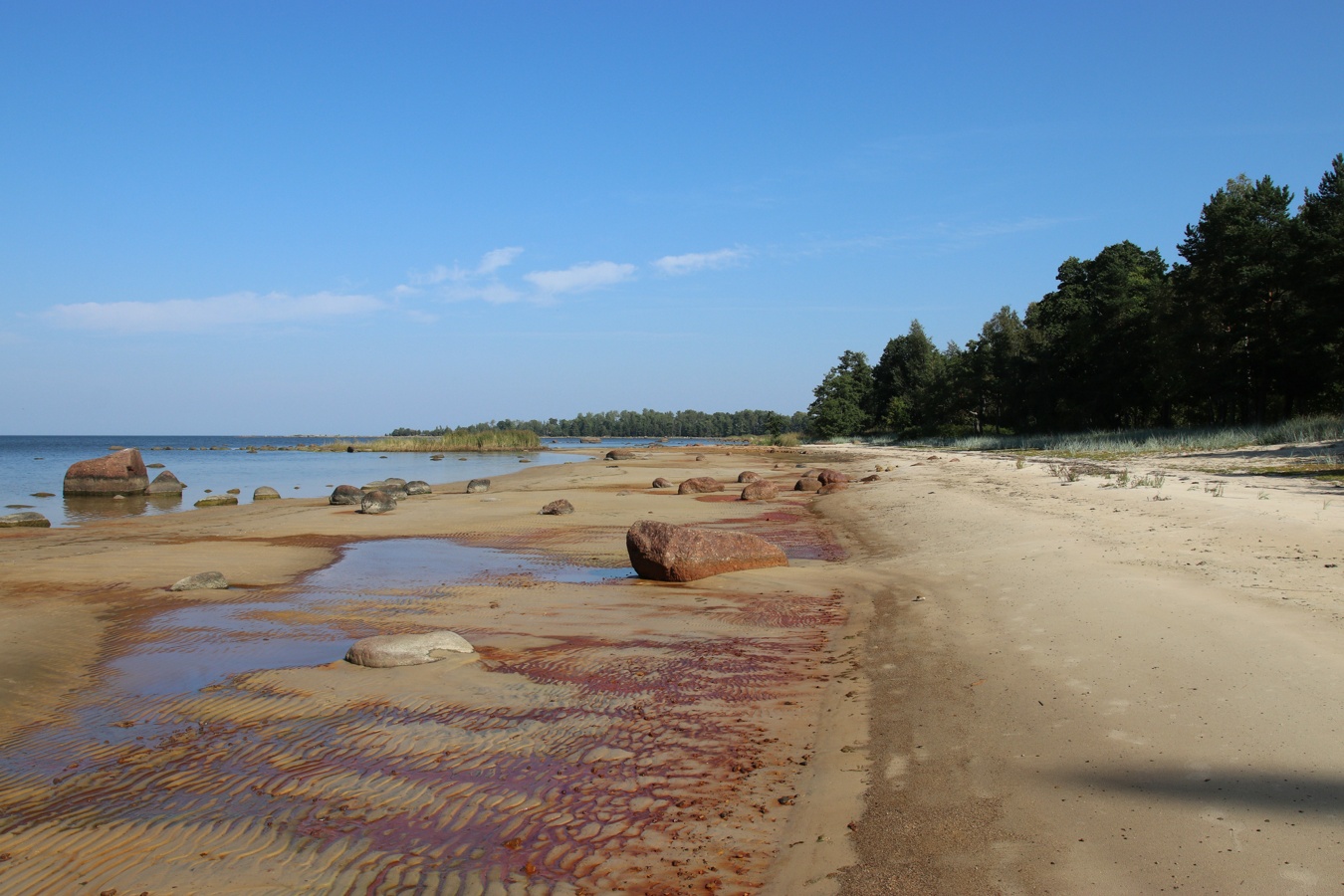 Мыс Дубовский, image of landscape/habitat.