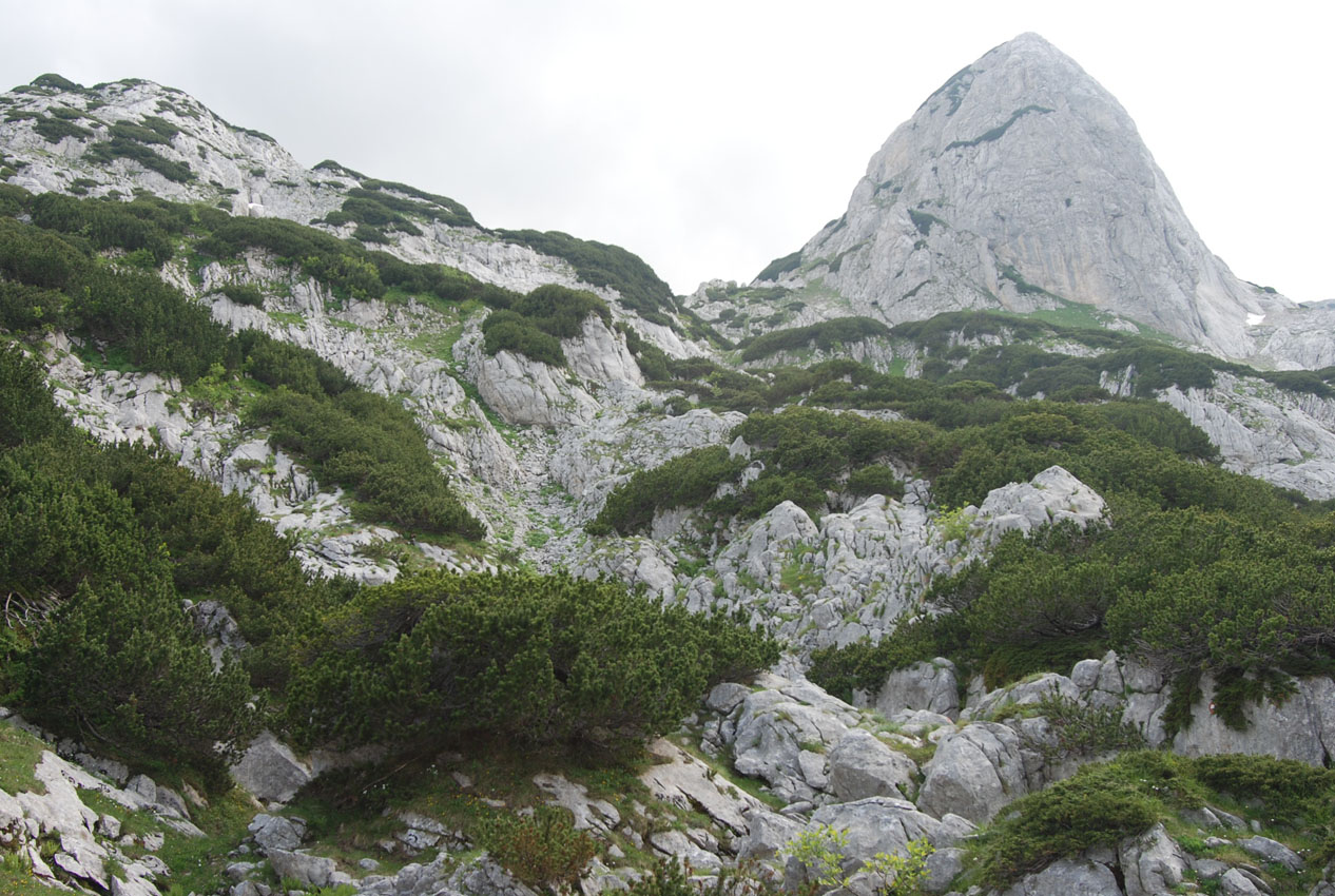 Дурмитор, image of landscape/habitat.