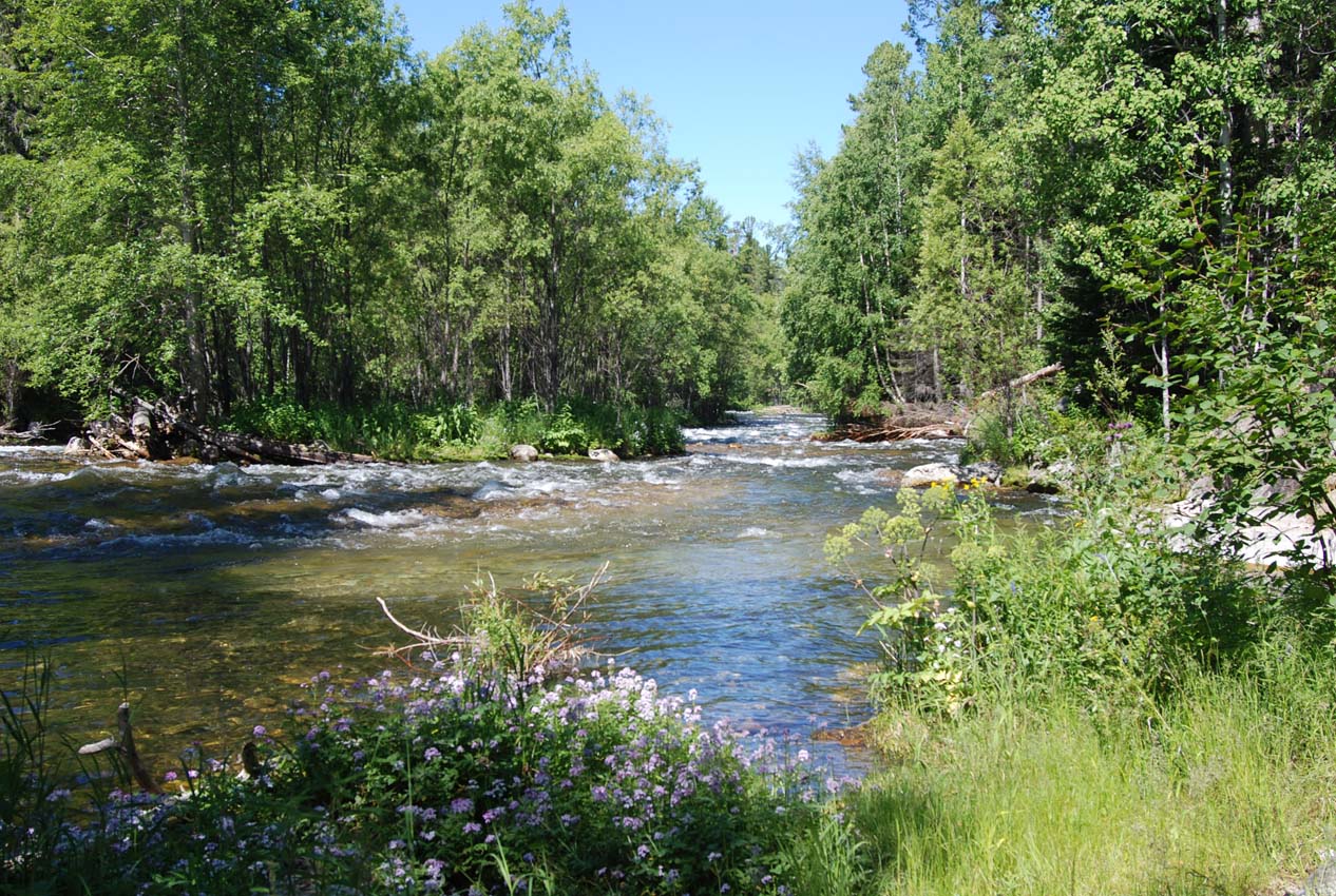 Долина реки Большой Чивыркуй, image of landscape/habitat.