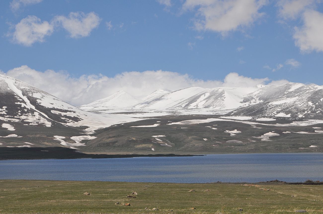 Окрестности озера Паравани, image of landscape/habitat.