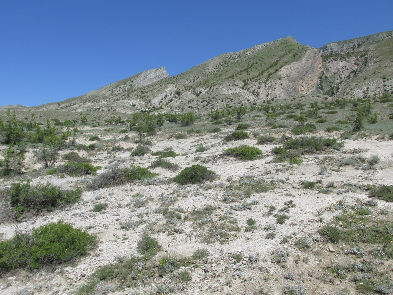 Долина Чиркейского водохранилища, image of landscape/habitat.