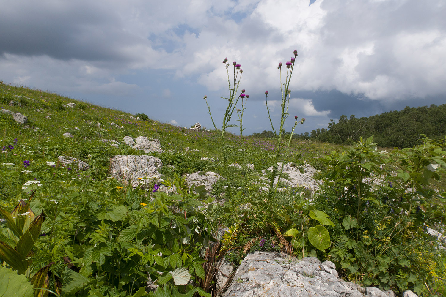 Каменное Море, image of landscape/habitat.