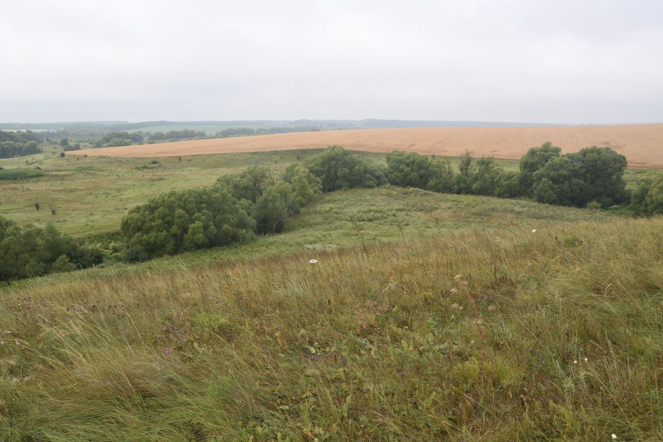 Устье реки Паника, image of landscape/habitat.