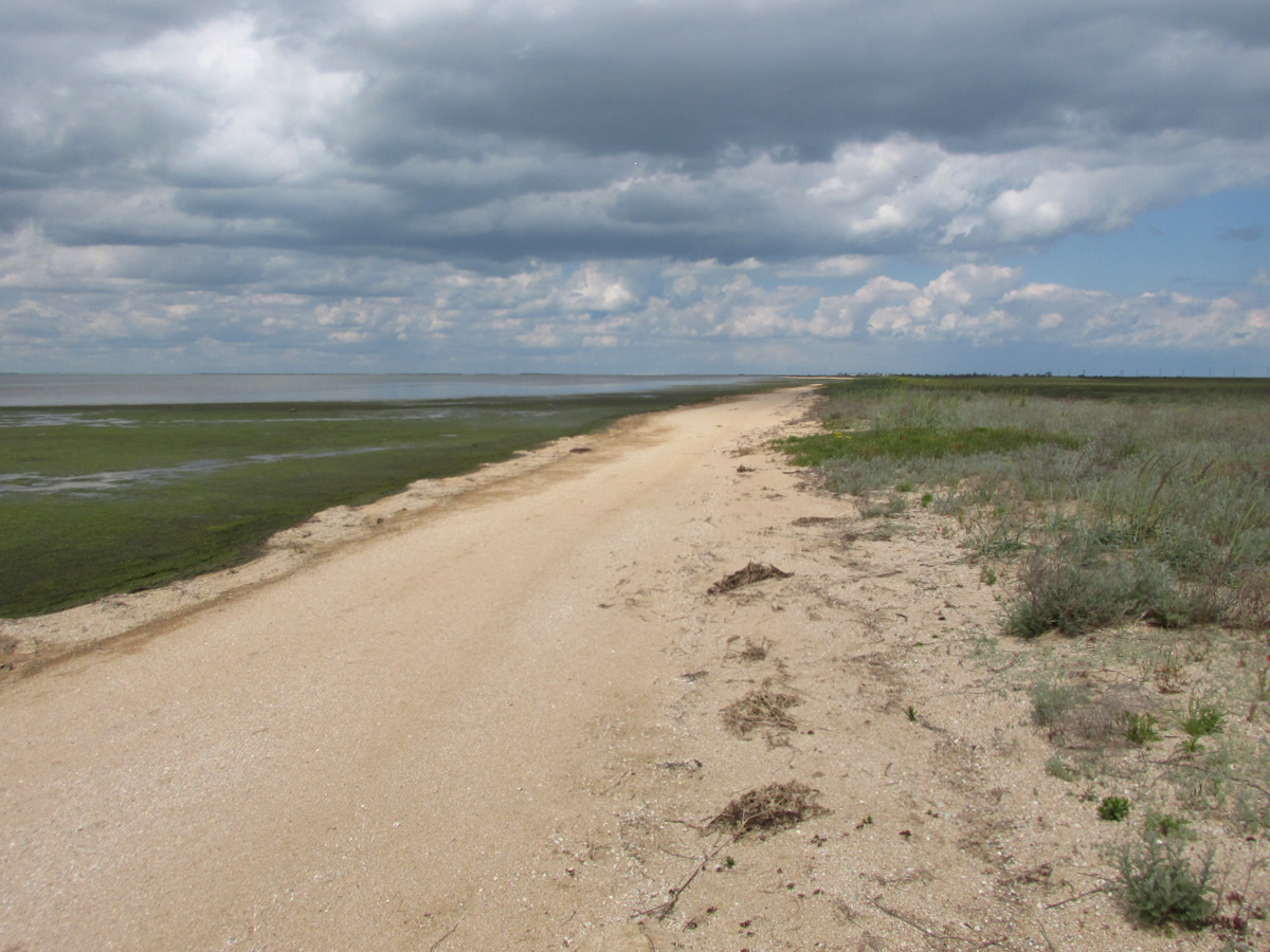 Арабатская стрелка, image of landscape/habitat.