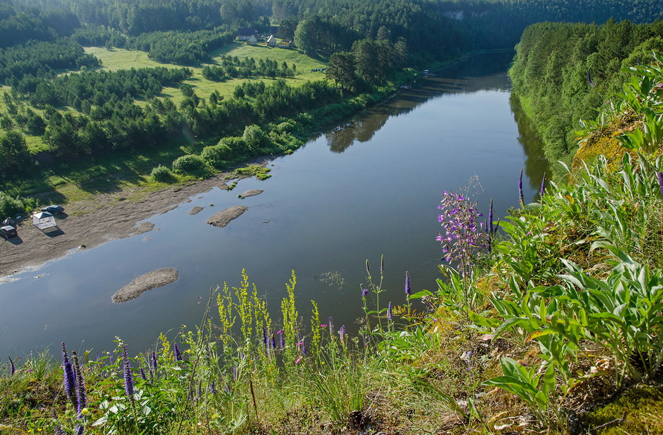 Окрестности Арасланово, image of landscape/habitat.