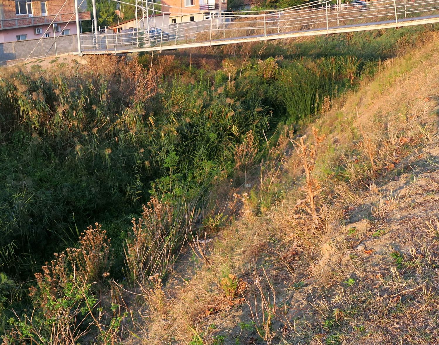 Оризаре, image of landscape/habitat.