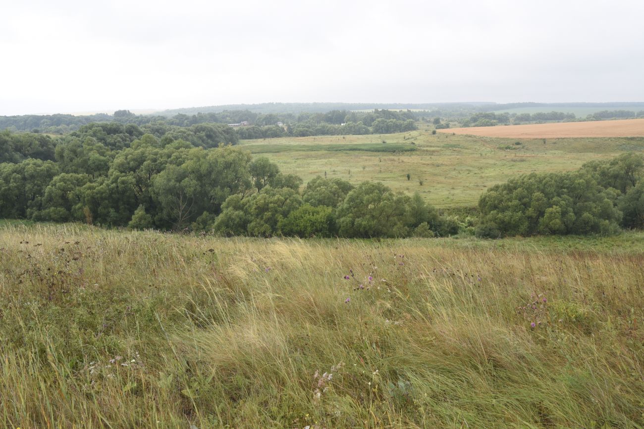 Устье реки Паника, image of landscape/habitat.