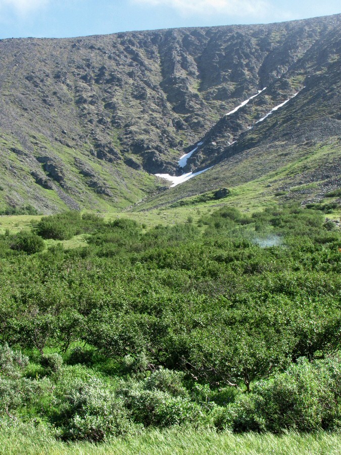 Бадьяшор, image of landscape/habitat.