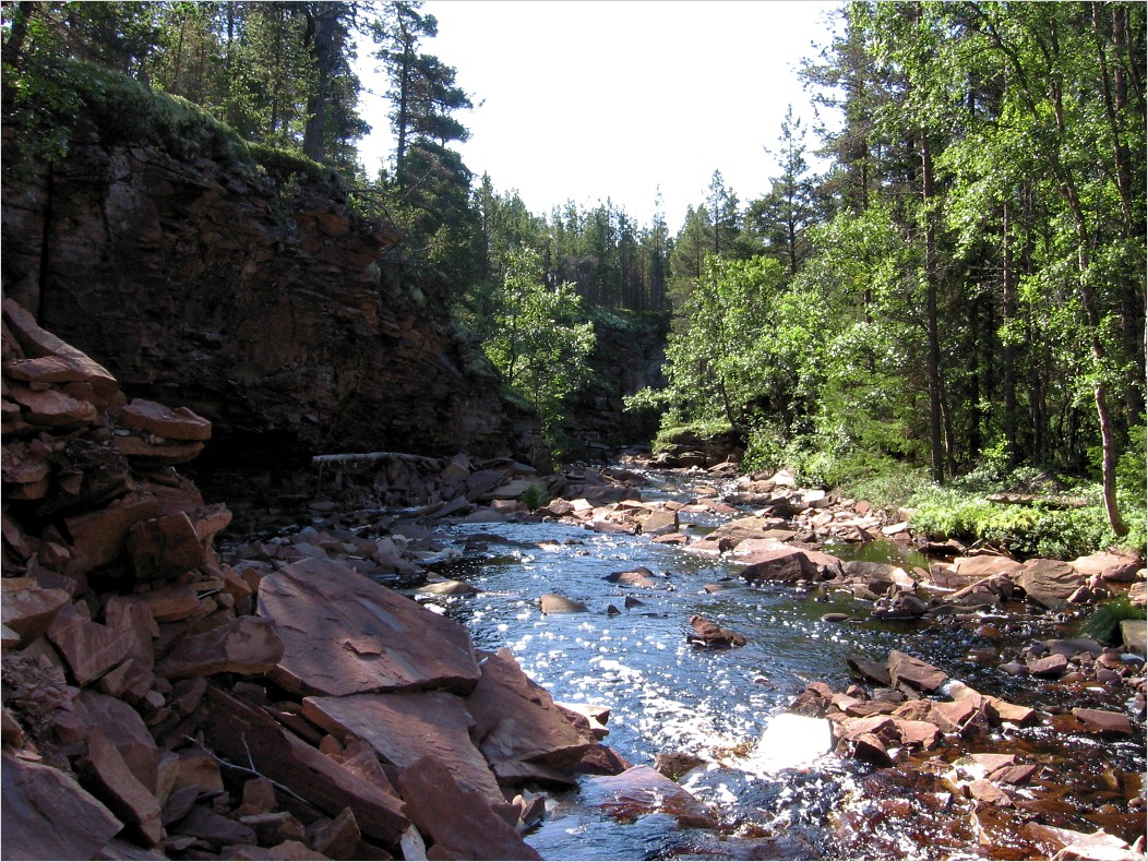 Устье ручья Точиленного, изображение ландшафта.