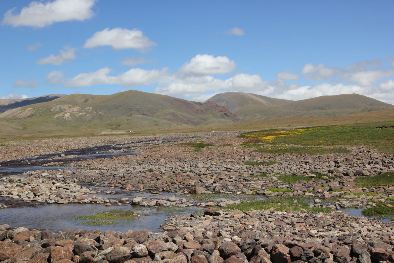 Окрестности стоянки Аргамджи, image of landscape/habitat.