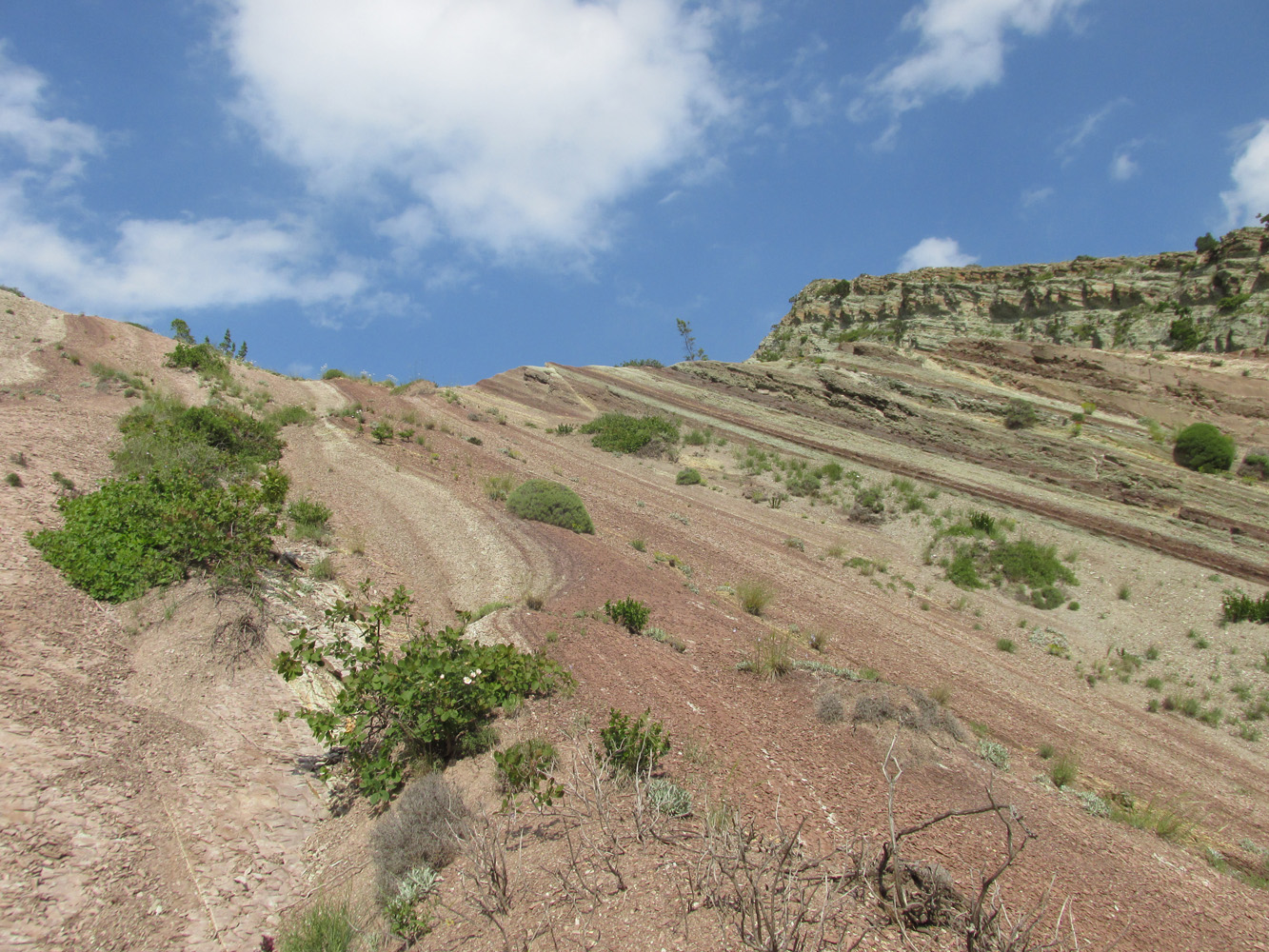 Долина Чиркейского водохранилища, image of landscape/habitat.