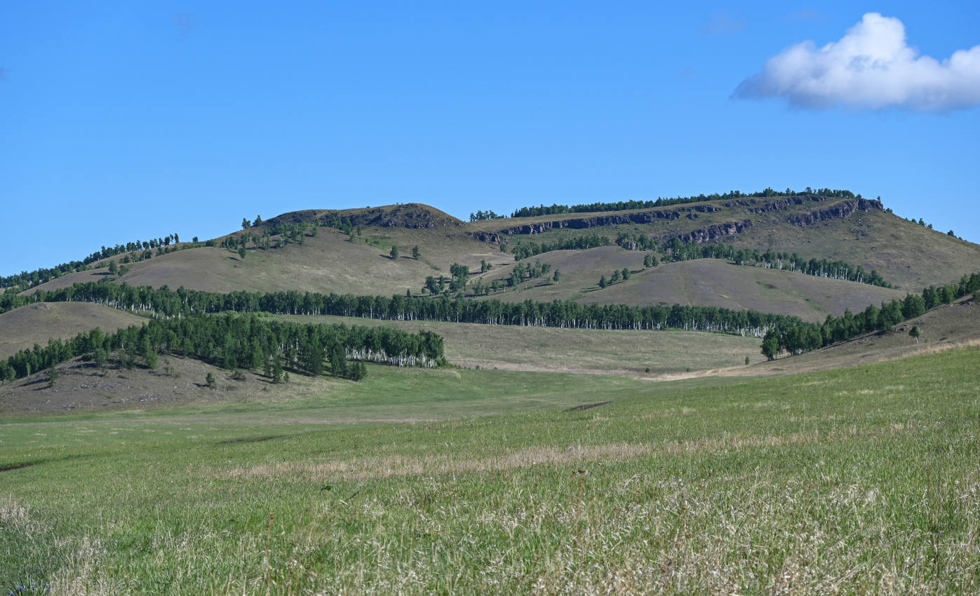 Окрестности села Большая Ерба, image of landscape/habitat.
