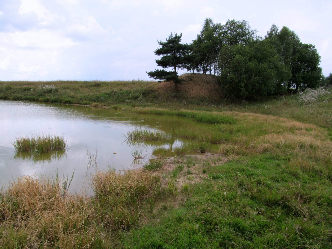 Рекультивированный карьер, image of landscape/habitat.