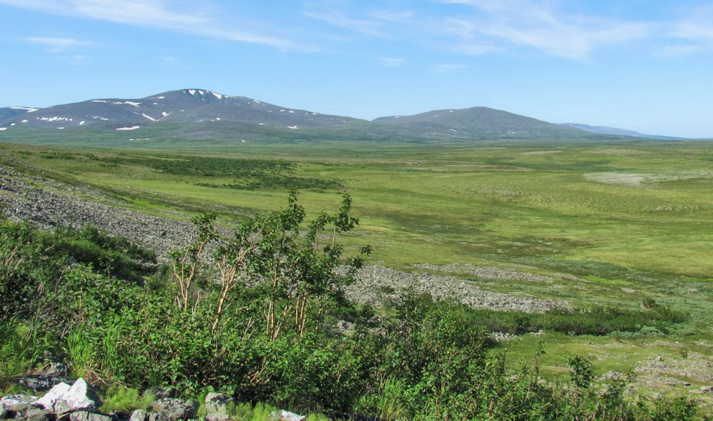 Бадьяшор, image of landscape/habitat.