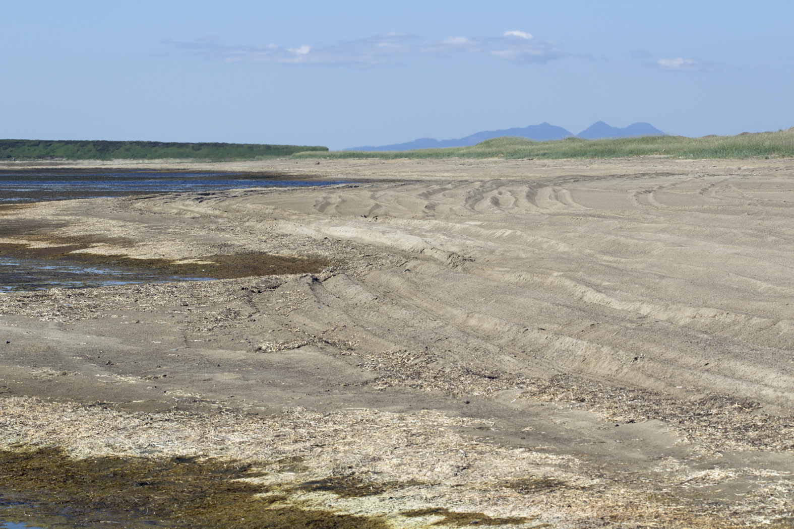 Хангуза, image of landscape/habitat.