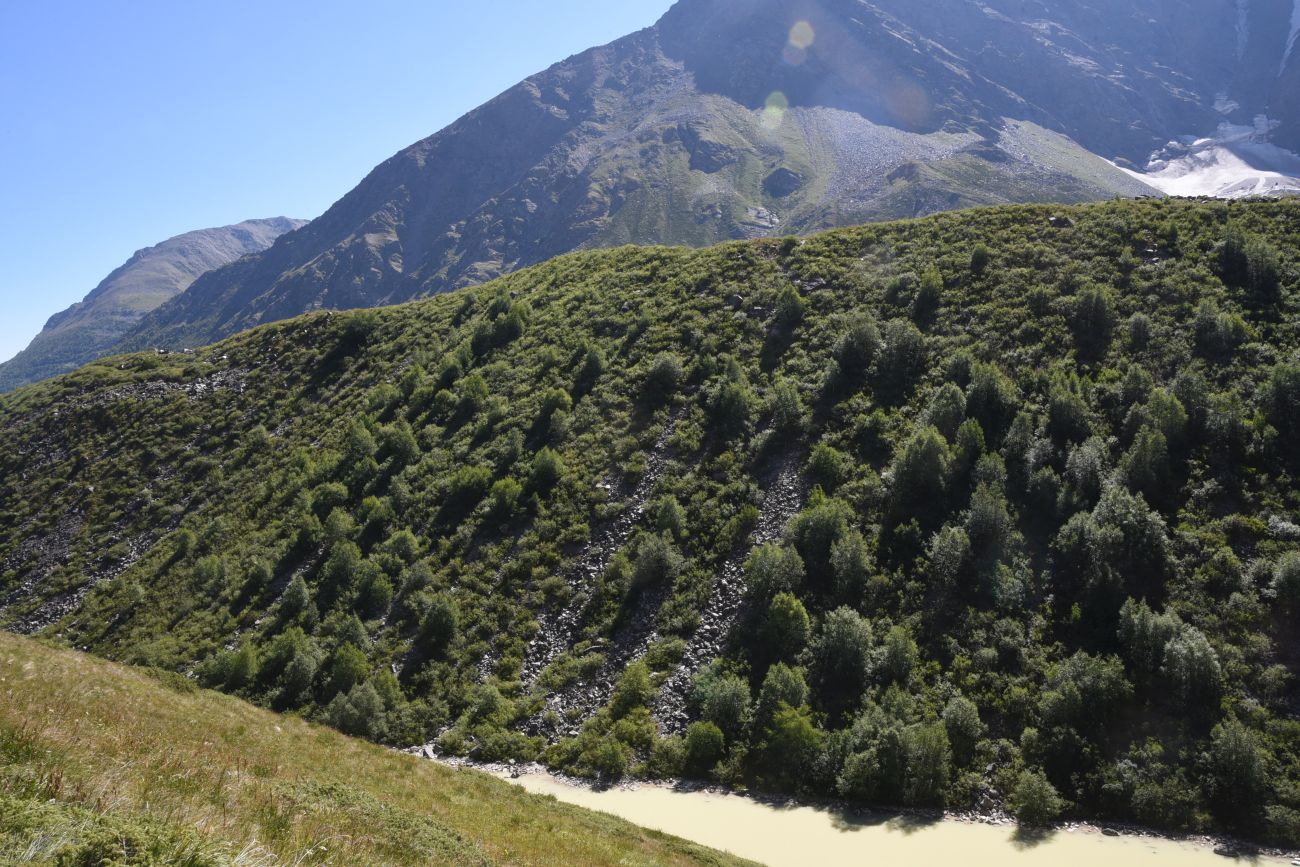 Окрестности озера Донгуз-Орун, image of landscape/habitat.