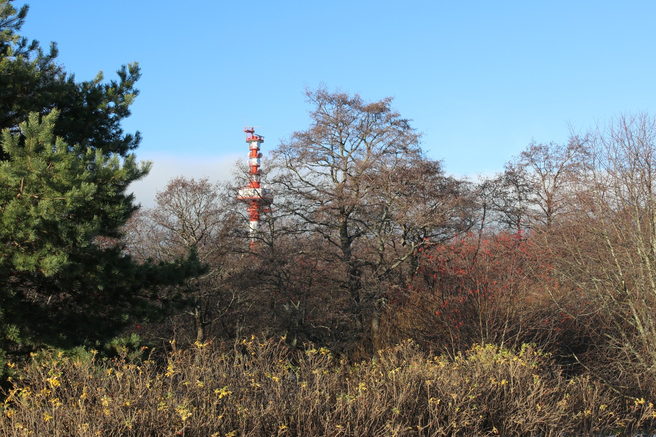 Каравалдай, image of landscape/habitat.