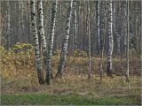 Image of landscape