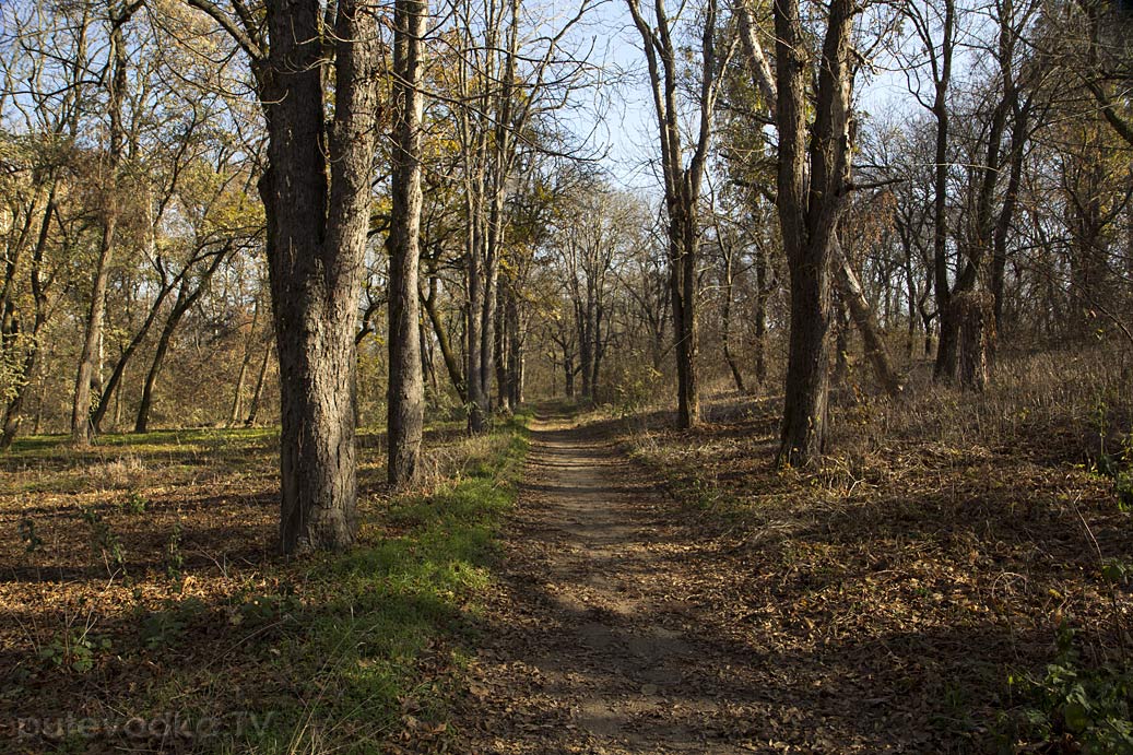 Гулькевичи и окрестности, image of landscape/habitat.