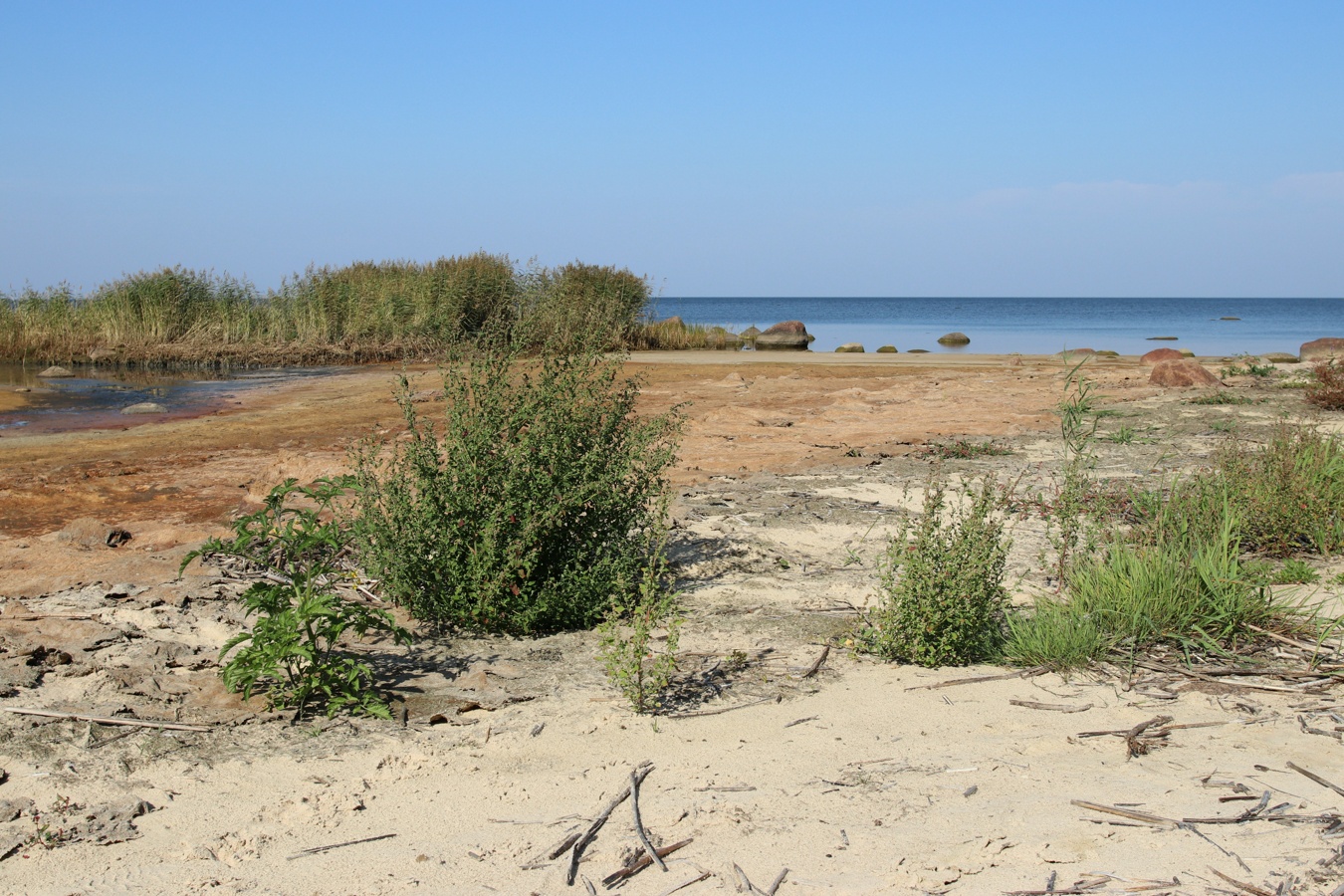 Мыс Дубовский, image of landscape/habitat.