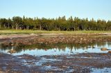 Большой Соловецкий остров, image of landscape/habitat.