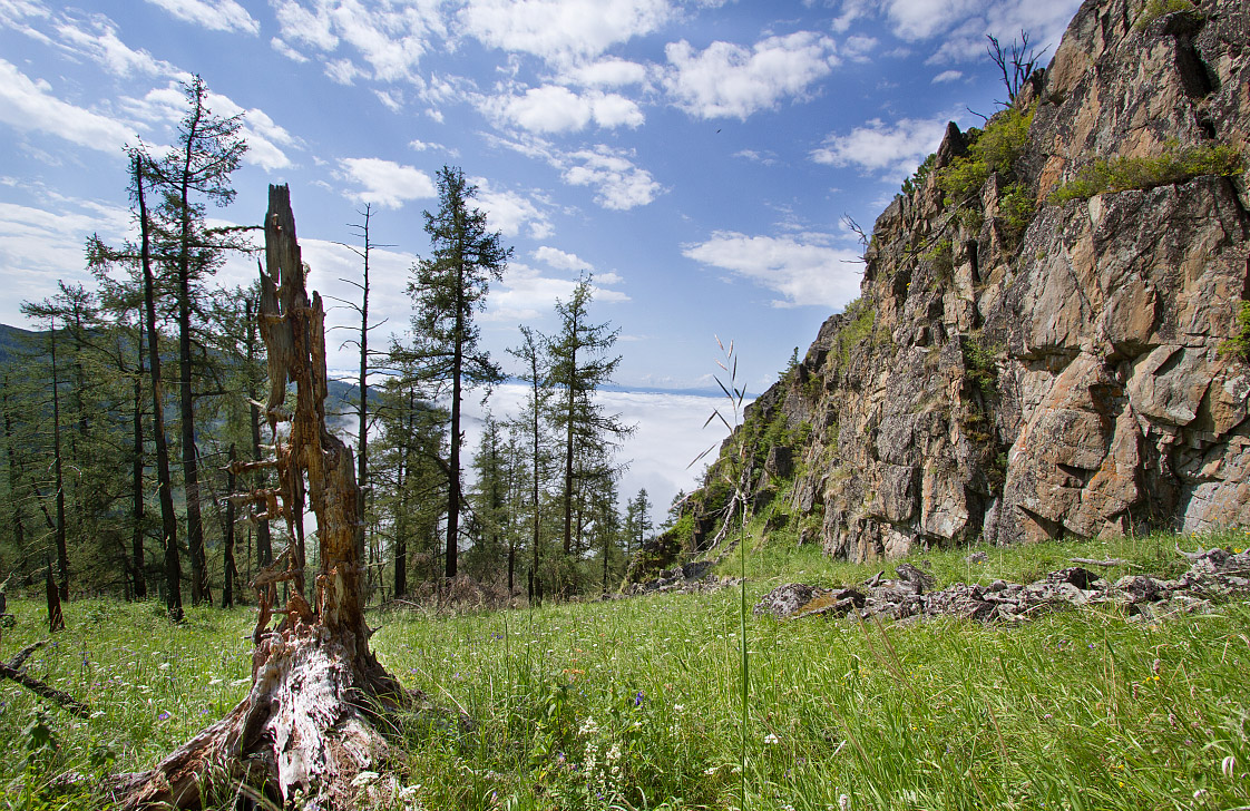 Семинский перевал, image of landscape/habitat.